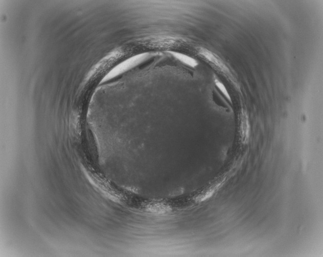 X0000085840258200704091731