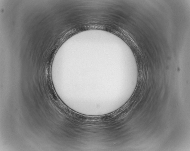 X0000085840259200704091731