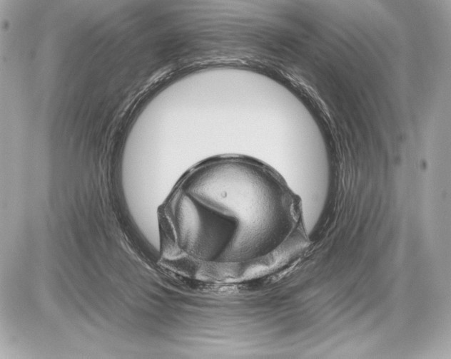 X0000085840260200704091731