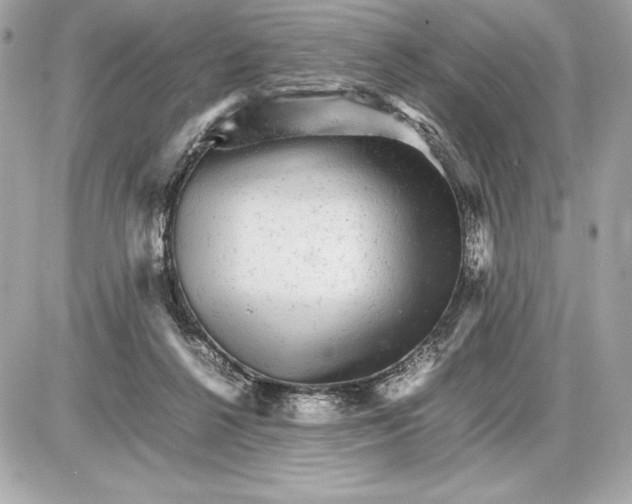 X0000085840264200704091731