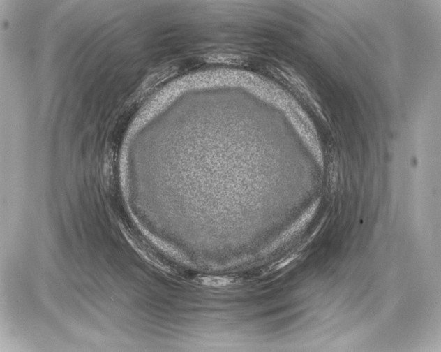 X0000085840265200704091731