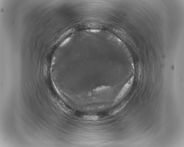 X0000085840266200704091731