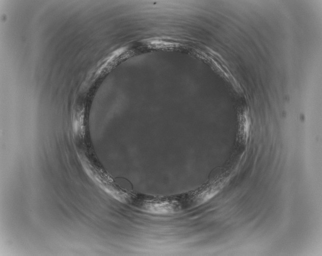 X0000085840267200704091731