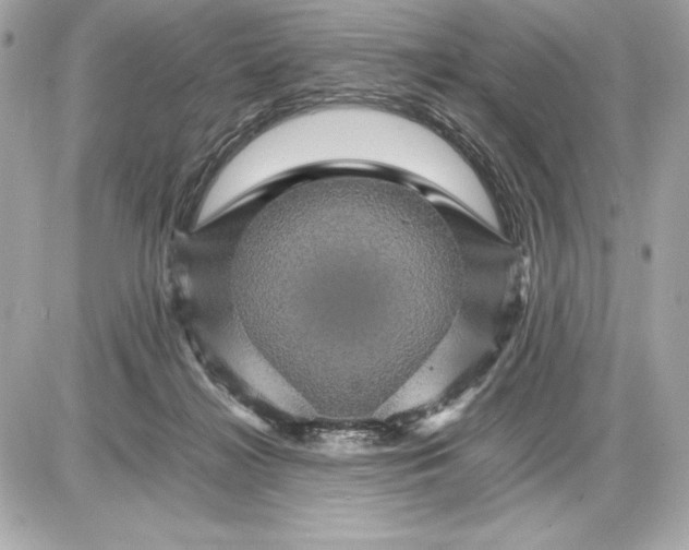 X0000085840268200704091731