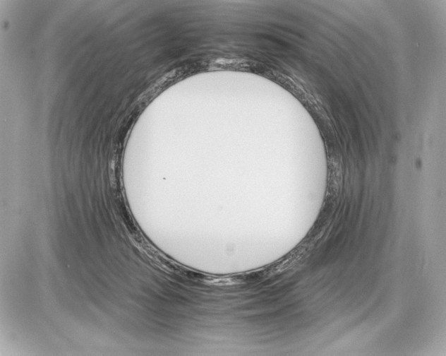 X0000085840269200704091731