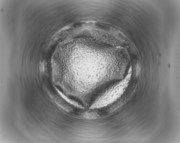 X0000085840270200704091731