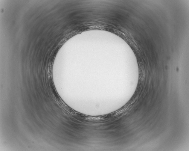 X0000085840273200704091731