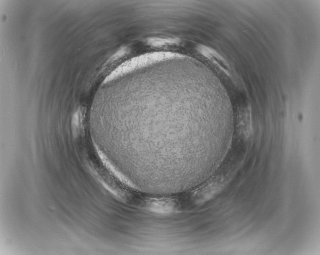 X0000085840275200704091731