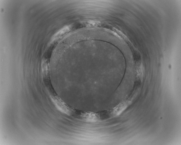 X0000085840276200704091731