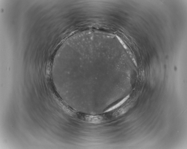 X0000085840277200704091731