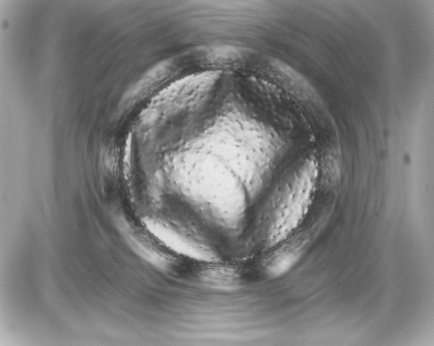 X0000085840278200704091731