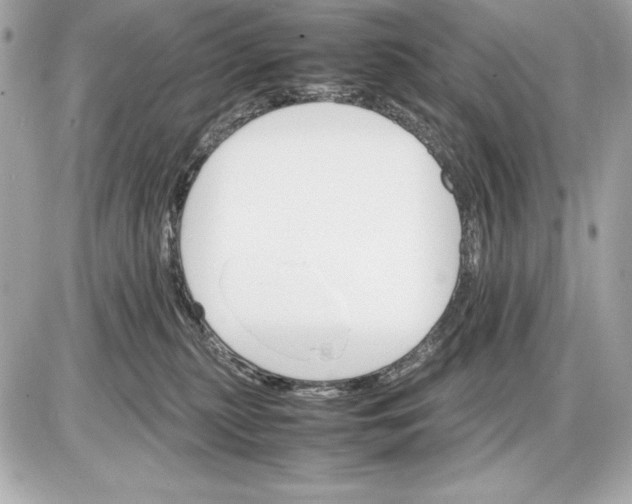 X0000085840279200704091731