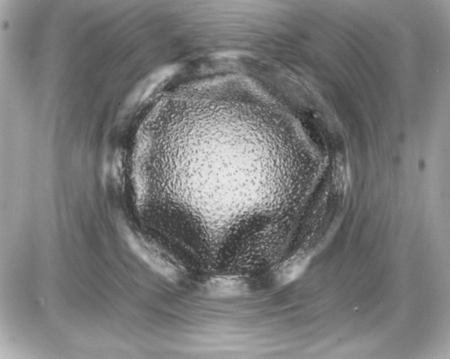 X0000085840280200704091731