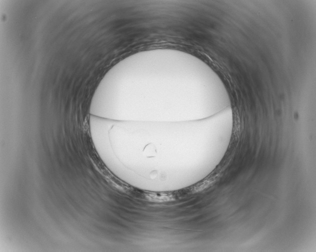 X0000085840281200704091731