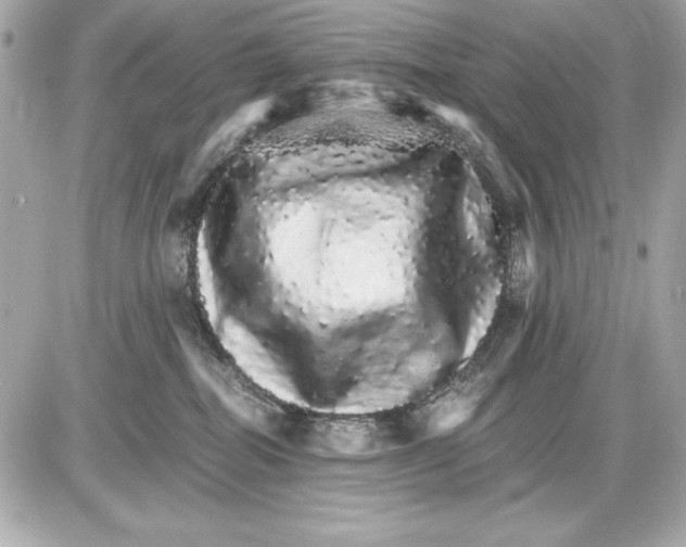 X0000085840282200704091731