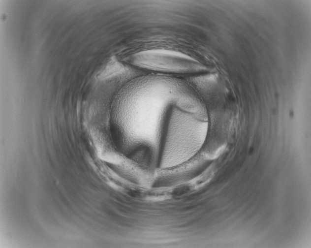 X0000085840283200704091731