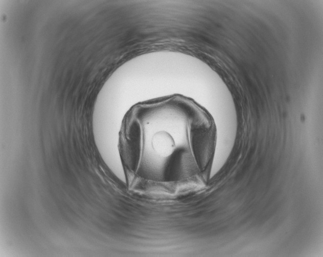 X0000085840284200704091731