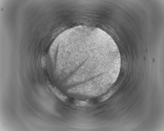 X0000085840285200704091731