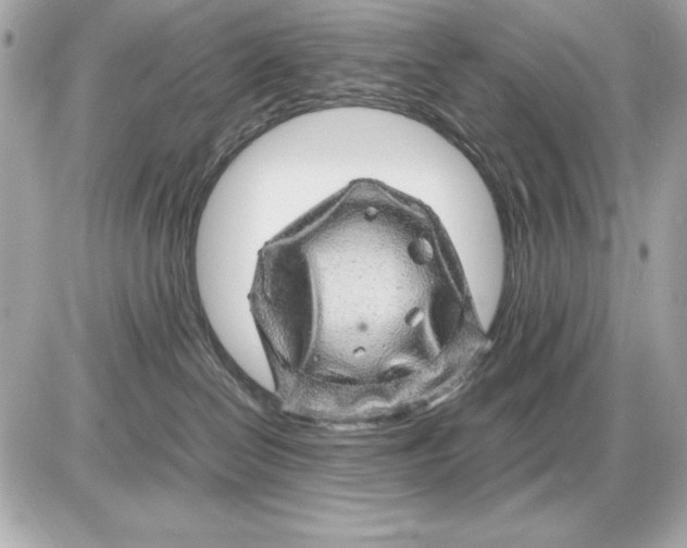 X0000085840286200704091731