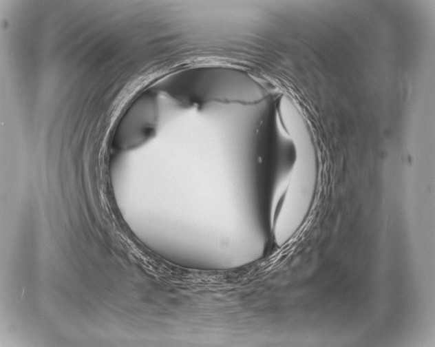 X0000085840289200704091730