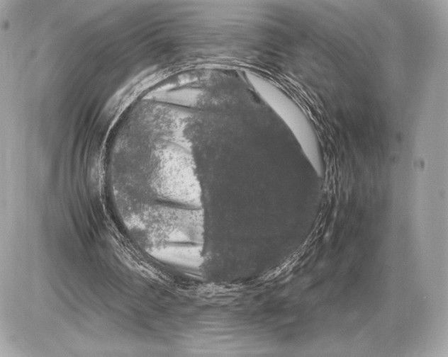 X0000085840290200704091730