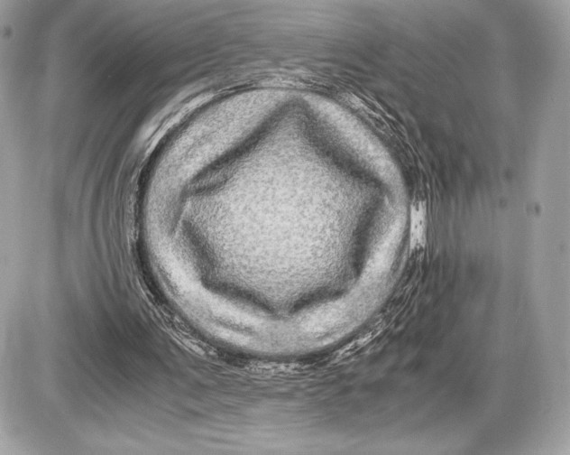 X0000085840291200704091730