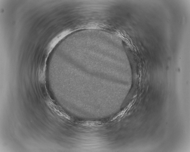 X0000085840292200704091730