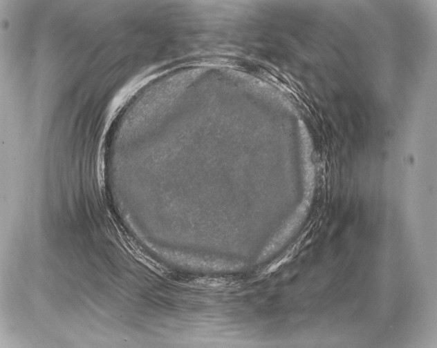 X0000085840294200704091730