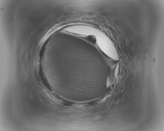 X0000085840295200704091730