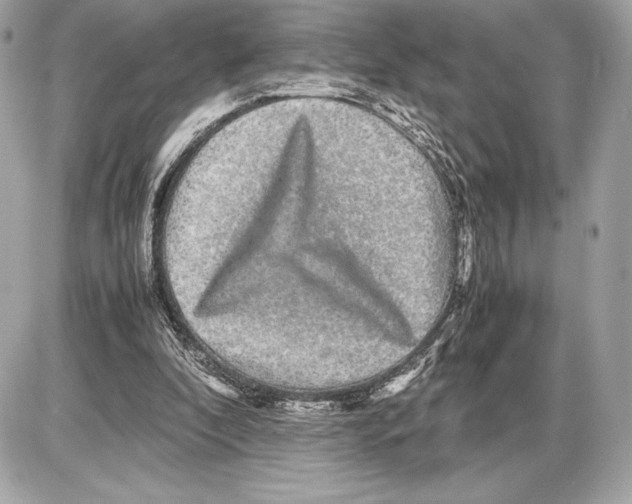 X0000085840296200704091730