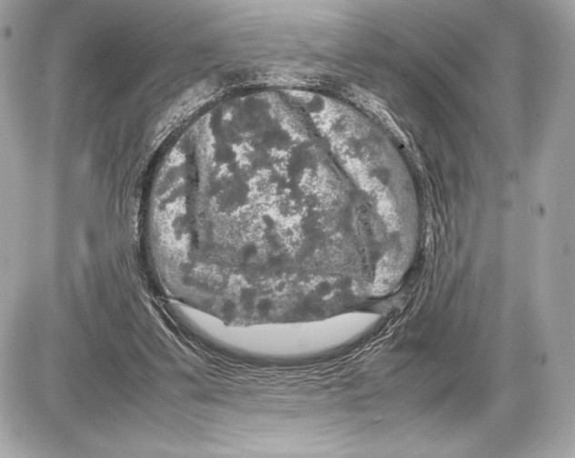 X0000085840299200704091730