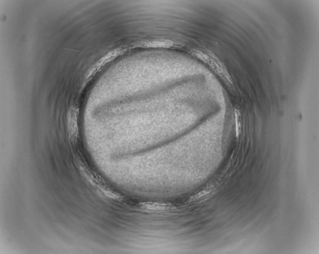 X0000085840300200704091730