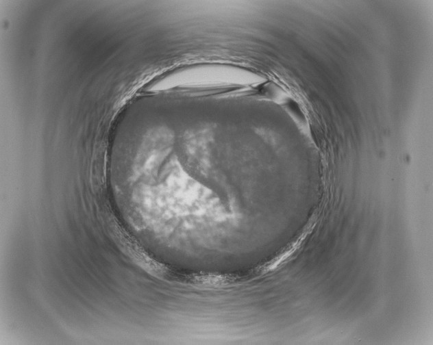 X0000085840301200704091730