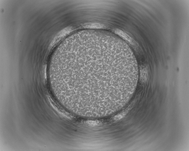 X0000085840302200704091730