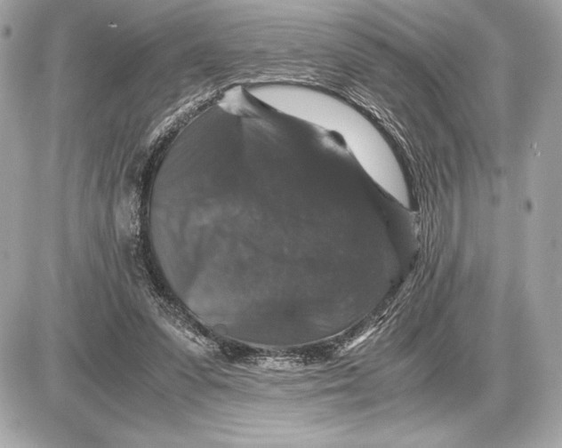 X0000085840303200704091730