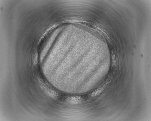 X0000085840304200704091730