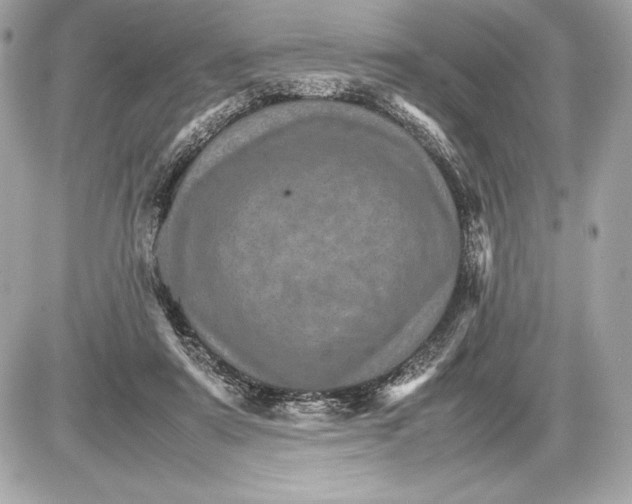 X0000085840307200704091730