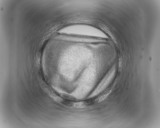 X0000085840309200704091730