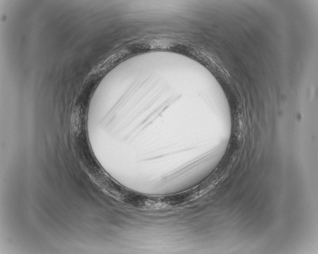 X0000085840311200704091730