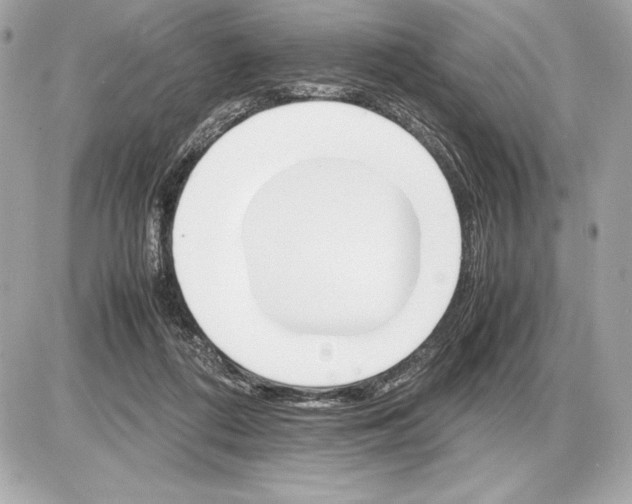 X0000085840312200704091730