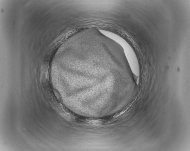 X0000085840313200704091730