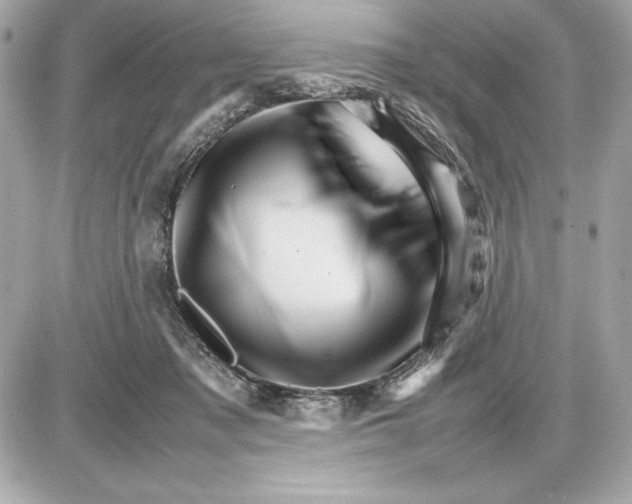 X0000085840317200704091730