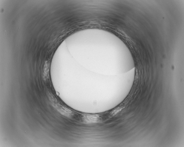 X0000085840318200704091730