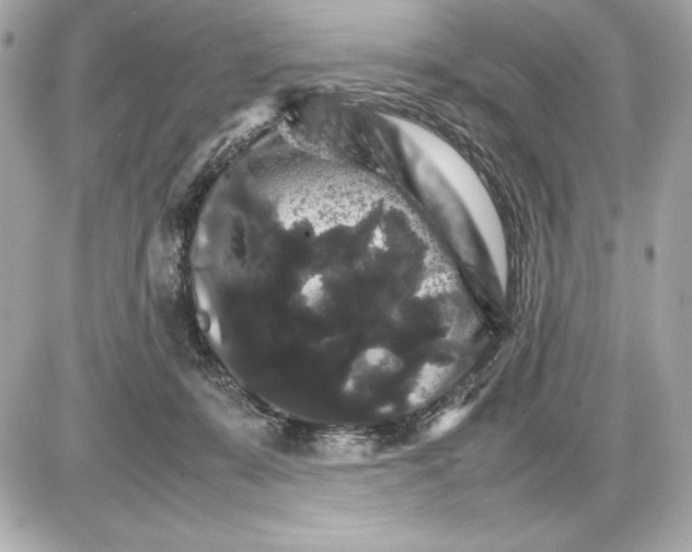 X0000085840319200704091730