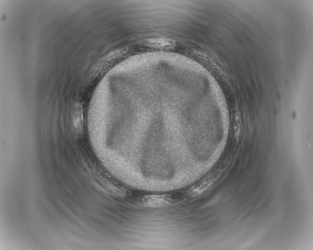 X0000085840320200704091730