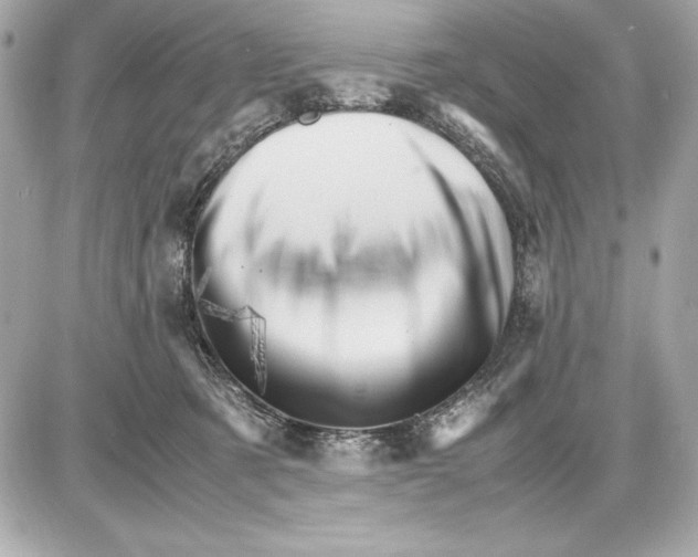 X0000085840321200704091730