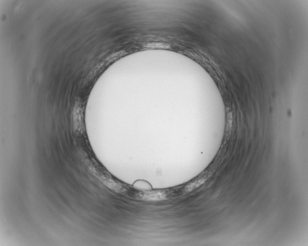 X0000085840322200704091730