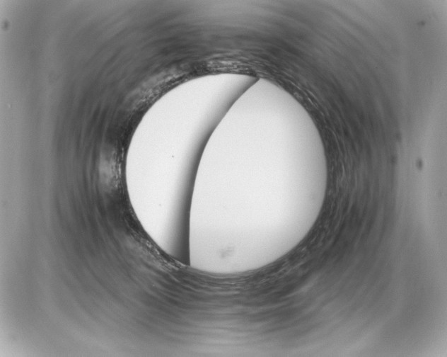 X0000085840324200704091730