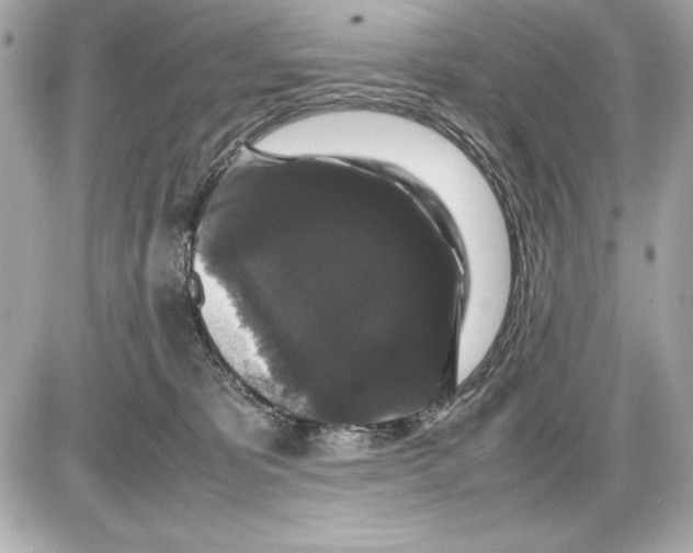 X0000085840325200704091730