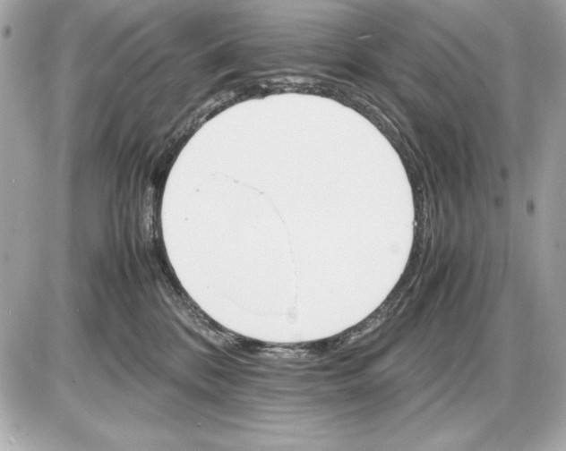 X0000085840328200704091730